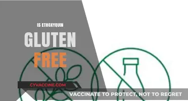 Is Ethoxyquin Gluten Free? Unraveling the Facts for Dietary Safety