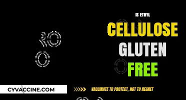 Is Ethyl Cellulose Gluten-Free? Understanding Food Additives and Dietary Needs