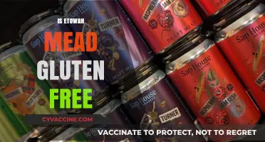 Is Etowah Mead Gluten-Free? A Comprehensive Guide for Drinkers