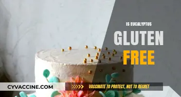 Is Eucalyptus Gluten-Free? Exploring Its Safety for Celiac Diets