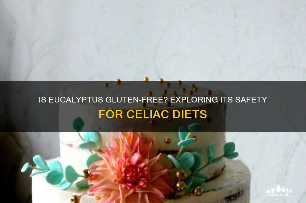 is eucalyptus gluten free