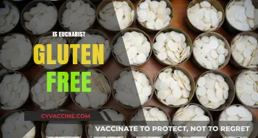 Is the Eucharist Gluten-Free? Exploring Options for Celiac Worshippers