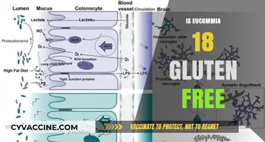 Is Eucommia 18 Gluten-Free? Exploring Ingredients and Dietary Safety