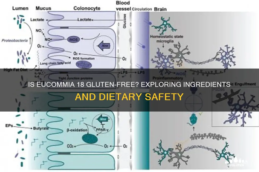 is eucommia 18 gluten free