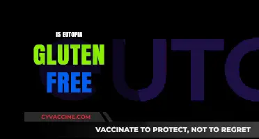 Is Eutopia Gluten-Free? Exploring the Dietary Facts and Options
