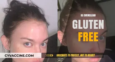 Is Everclear Gluten-Free? Uncovering the Truth for Celiac Drinkers