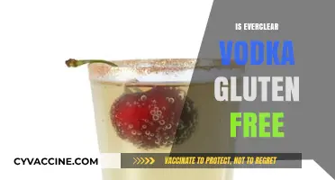 Is Everclear Vodka Gluten-Free? A Clear Answer for Celiacs