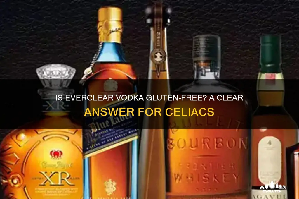 is everclear vodka gluten free