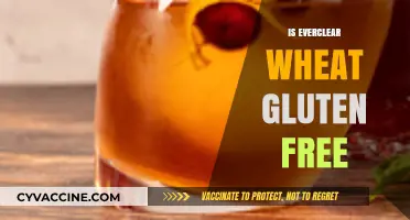Is Everclear Wheat Gluten-Free? Uncovering the Truth for Celiac Drinkers