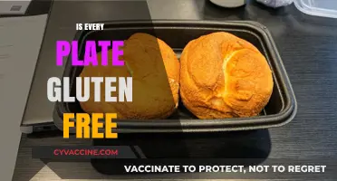 Are All Plates Gluten-Free? Uncovering Hidden Risks in Dining