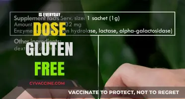 Is Everyday Dose Gluten-Free? A Comprehensive Guide to Ingredients