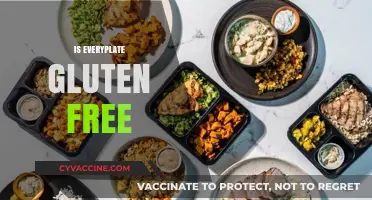 Is EveryPlate Gluten-Free? A Comprehensive Guide for Dietary Needs