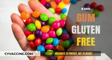 Is Excel Gum Gluten-Free? A Comprehensive Guide for Consumers
