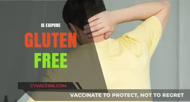 Is Exipure Gluten-Free? A Comprehensive Guide to Its Ingredients