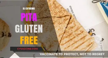 Is Extreme Pita Gluten-Free? A Complete Guide for Celiac Diners