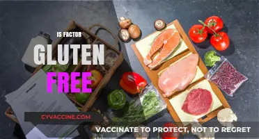 Is Factor Gluten-Free? Exploring Meal Delivery Options for Celiac Diets