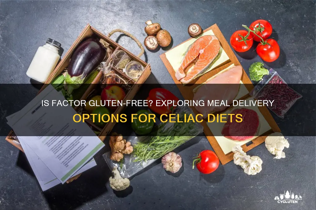 is factor gluten free