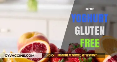 Is Fage Yogurt Gluten-Free? A Complete Guide for Celiacs