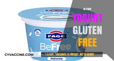 Is Fage Yogurt Gluten-Free? A Complete Guide for Celiacs