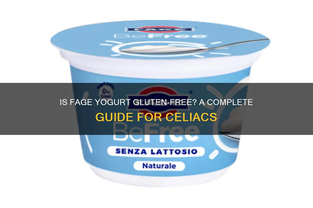 is fage yogurt gluten free