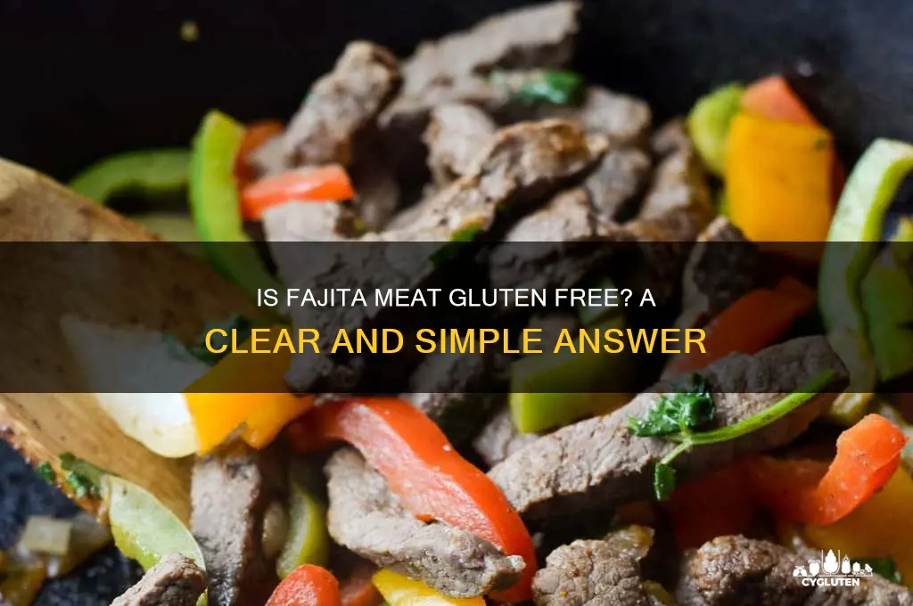 is fajita meat gluten free