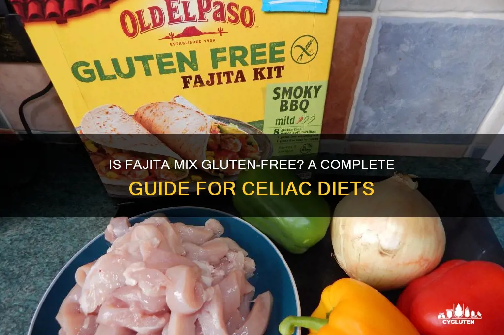 is fajita mix gluten free