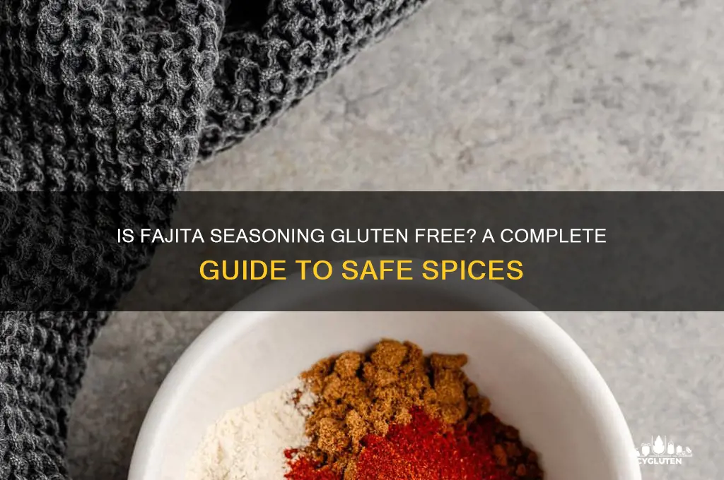 is fajita seasoning gluten free