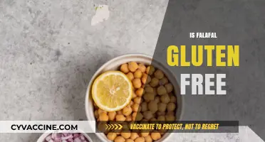 Is Falafel Gluten-Free? A Complete Guide to Ingredients and Options