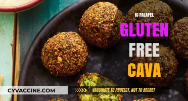Is Falafel Gluten-Free at Cava? A Dietary Guide for Foodies