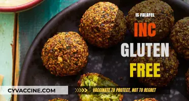Is Falafel Inc Gluten-Free? A Comprehensive Guide to Their Menu