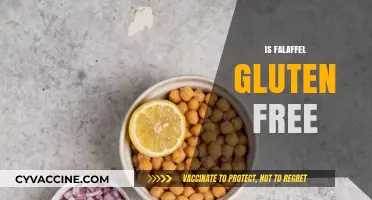 Is Falafel Gluten-Free? A Complete Guide to Ingredients and Options