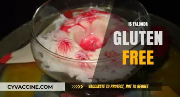 Is Falooda Gluten-Free? A Complete Guide to This Dessert