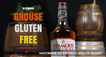 Is Famous Grouse Gluten-Free? Uncovering the Truth for Whiskey Lovers