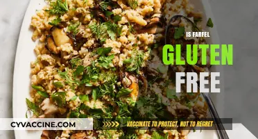 Is Farfel Gluten Free? Unraveling the Truth About This Dish