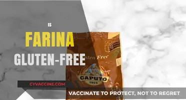 Is Farina Gluten-Free? Unraveling the Truth for a Healthy Diet