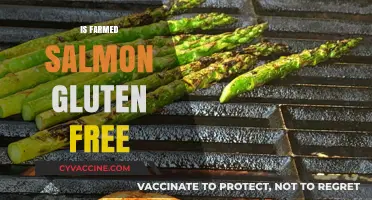 Is Farmed Salmon Gluten-Free? A Comprehensive Guide for Dieters