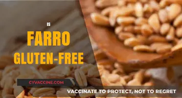 Is Farro Gluten-Free? Unraveling the Truth for Your Diet