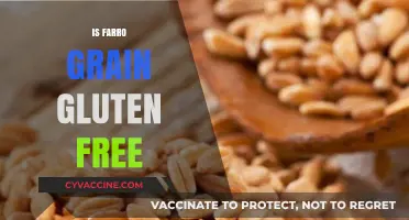 Is Farro Grain Gluten-Free? Unraveling the Truth for Your Diet