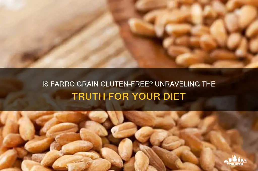 is farro grain gluten free