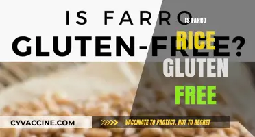 Is Farro Rice Gluten-Free? Unraveling the Truth for Your Diet
