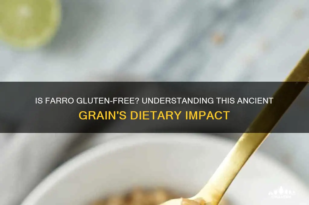 is farroh gluten free