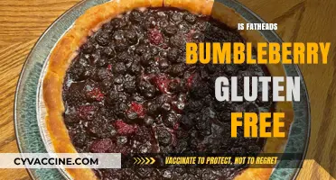 Is Fatheads Bumbleberry Pie Gluten-Free? A Delicious Inquiry
