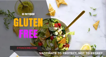 Is Fattoush Gluten Free? A Crunchy Salad's Dietary Secret