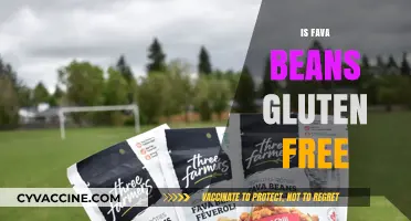 Are Fava Beans Gluten-Free? A Complete Guide for Celiacs
