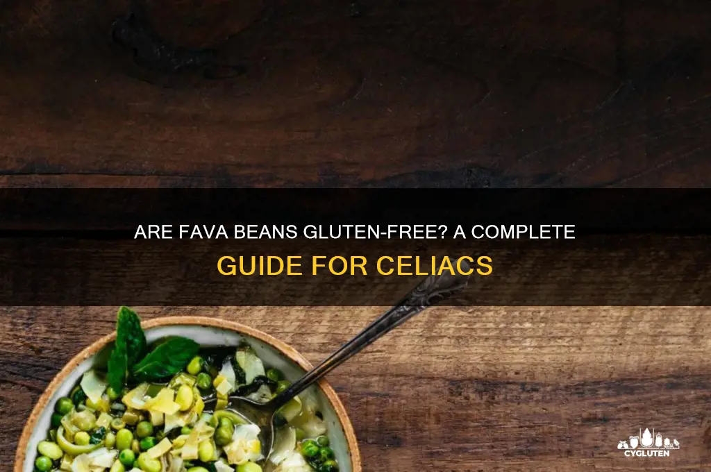 is fava beans gluten free