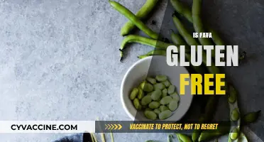 Is Fava Gluten-Free? Unraveling the Truth for Celiac Diets