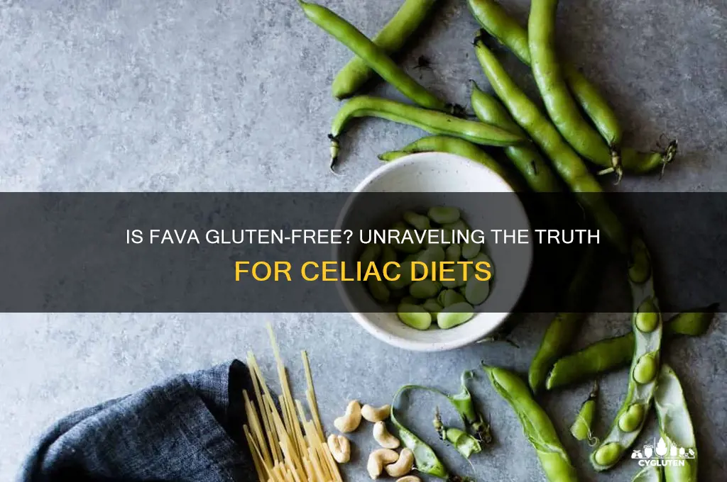 is fava gluten free