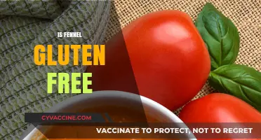 Is Fennel Gluten-Free? A Comprehensive Guide to Fennel's Safety