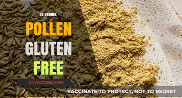 Is Fennel Pollen Gluten-Free? A Comprehensive Guide for Celiacs