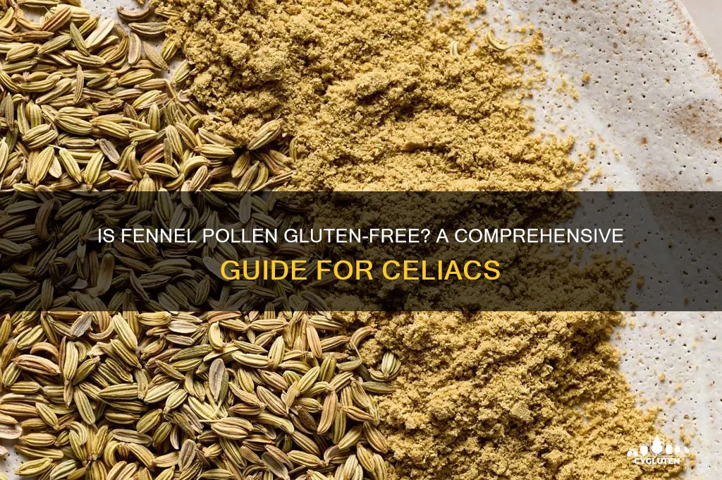 is fennel pollen gluten free